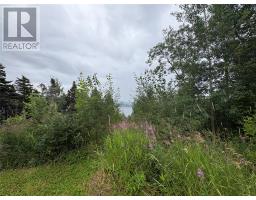 6 Youngs Lane thumbnail 37