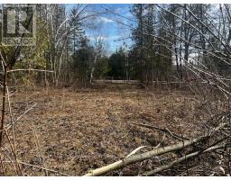 122-123 Riverview Beach Road, Georgina, ON L0E1N0 Photo 8