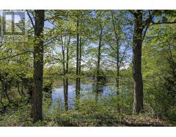 5204 Ninth Line, Erin, ON N0B1T0 Photo 39