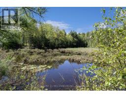 5204 Ninth Line, Erin, ON N0B1T0 Photo 49
