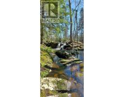 1278 Crisp Road, Inglisville, NS B0S1M0 Photo 27