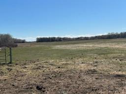 69099 110w Road, Forrest, MB R0K0W0 Photo 29