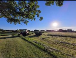 69099 110w Road, Forrest, MB R0K0W0 Photo 31