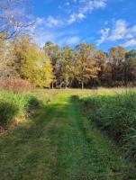 69099 110w Road, Forrest, MB R0K0W0 Photo 33