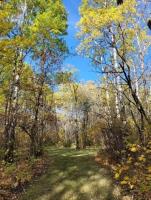 69099 110w Road, Forrest, MB R0K0W0 Photo 32