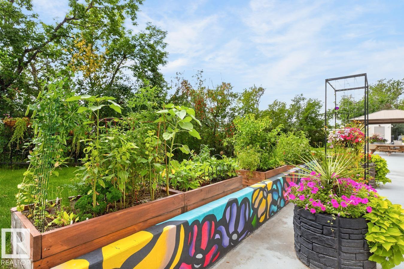602 12303 JASPER Avenue NW - Photo 45