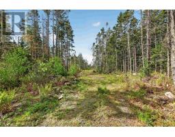 210 Moser Island Road, Glen Margaret, NS B3Z3H6 Photo 17