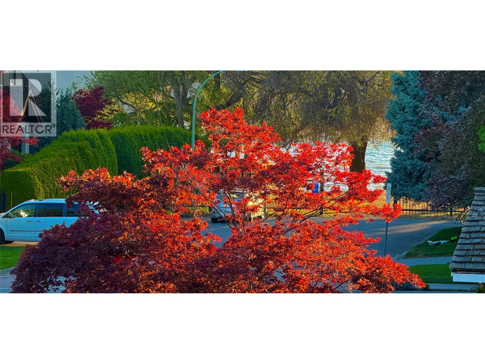 338 Burne Avenue - Image 80