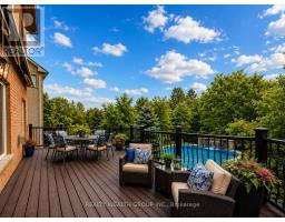 43 Catano Court, Richmond Hill, ON L4S2V4 Photo 47