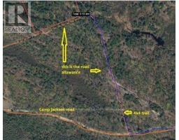 50 Acres In Muskoka North Of Bala - Pcl 31045, Muskoka Lakes, ON P0C1A0 Photo 10