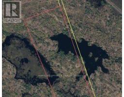 50 Acres In Muskoka North Of Bala - Pcl 31045, Muskoka Lakes, ON P0C1A0 Photo 12