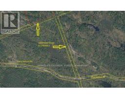 50 Acres In Muskoka North Of Bala - Pcl 31045, Muskoka Lakes, ON P0C1A0 Photo 14