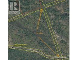 50 Acres In Muskoka North Of Bala - Pcl 31045, Muskoka Lakes, ON P0C1A0 Photo 15