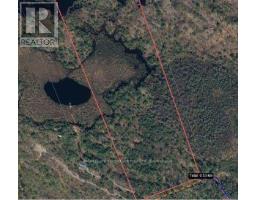 50 Acres In Muskoka North Of Bala - Pcl 31045, Muskoka Lakes, ON P0C1A0 Photo 18