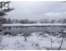 50 Acres In Muskoka North Of Bala - Pcl 31045, Muskoka Lakes, ON P0C1A0 Photo 19