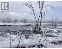 50 Acres In Muskoka North Of Bala - Pcl 31045, Muskoka Lakes, ON P0C1A0 Photo 20