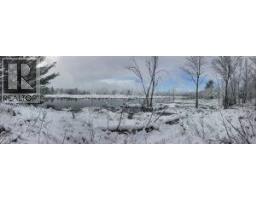 50 Acres In Muskoka North Of Bala - Pcl 31045, Muskoka Lakes, ON P0C1A0 Photo 21
