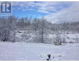 50 Acres In Muskoka North Of Bala - Pcl 31045, Muskoka Lakes, ON P0C1A0 Photo 22