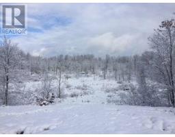50 Acres In Muskoka North Of Bala - Pcl 31045, Muskoka Lakes, ON P0C1A0 Photo 23