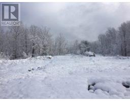 50 Acres In Muskoka North Of Bala - Pcl 31045, Muskoka Lakes, ON P0C1A0 Photo 24