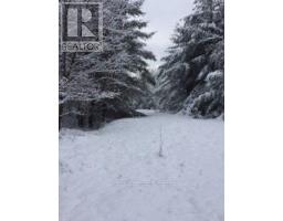 50 Acres In Muskoka North Of Bala - Pcl 31045, Muskoka Lakes, ON P0C1A0 Photo 25