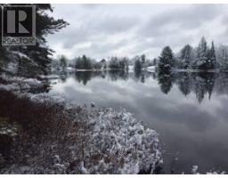50 Acres In Muskoka North Of Bala - Pcl 31045, Muskoka Lakes, ON P0C1A0 Photo 26