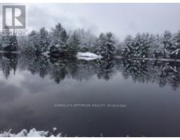 50 Acres In Muskoka North Of Bala - Pcl 31045, Muskoka Lakes, ON P0C1A0 Photo 27