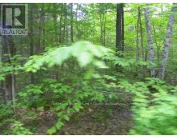 50 Acres In Muskoka North Of Bala - Pcl 31045, Muskoka Lakes, ON P0C1A0 Photo 6