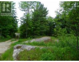 50 Acres In Muskoka North Of Bala - Pcl 31045, Muskoka Lakes, ON P0C1A0 Photo 7