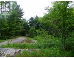 50 Acres In Muskoka North Of Bala - Pcl 31045, Muskoka Lakes, ON P0C1A0 Photo 8