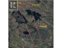 50 Acres In Muskoka North Of Bala - Pcl 31045, Muskoka Lakes, ON P0C1A0 Photo 9