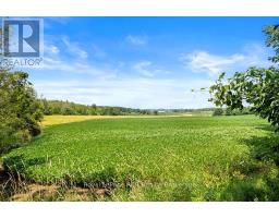 242 Pleasantview Road, South Bruce Peninsula, ON N0H1A0 Photo 16