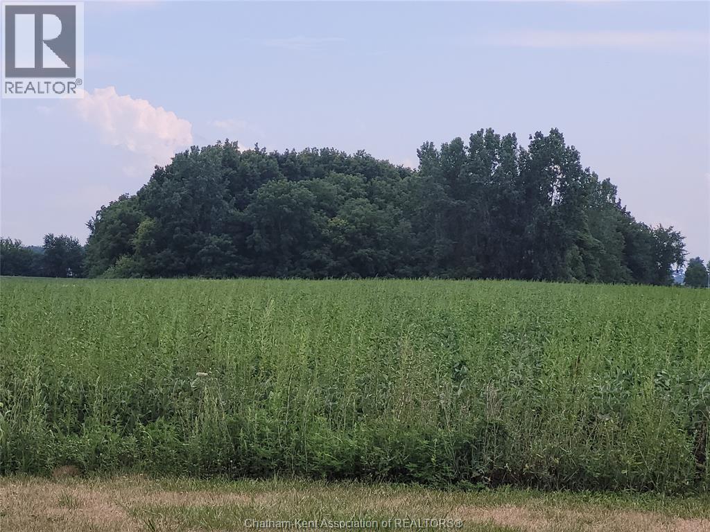 221 HOLT LINE - 22