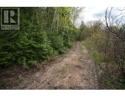 9316 Georgian Bay Shore Road, Georgian Bay, ON P0E1E0 Photo 41