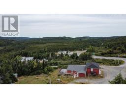 6 Smoke Alley Road, Port Rexton, NL A0C2H0 Photo 12