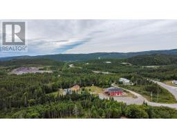 6 Smoke Alley Road, Port Rexton, NL A0C2H0 Photo 9