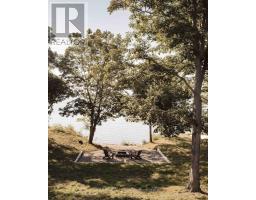 772 County Road 18 Road, Prince Edward County, ON K0K1P0 Photo 44