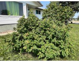 4764 43 St., Drayton Valley, AB T7A1G1 Photo 46