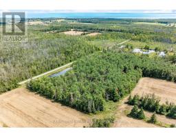 Pt Lt 19 Line 8n, Oro Medonte, ON L0L2E0 Photo 8
