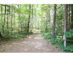 1101 Langford Road, Lake Of Bays, ON P0B1A0 Photo 35