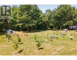 1038 Branch Road, Central Blissville, NB E6L1T5 Photo 37