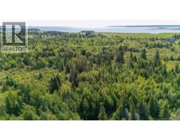 Lot Route 970, Baie Verte, NB E4M1N3 Photo 18