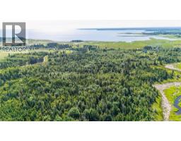 Lot Route 970, Baie Verte, NB E4M1N3 Photo 6