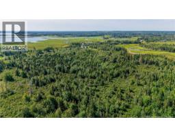 Lot Route 970, Baie Verte, NB E4M1N3 Photo 15