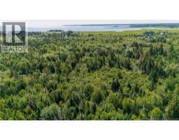 Lot Route 970, Baie Verte, NB E4M1N3 Photo 19