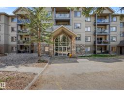 Laundry room - #221 279 Suder Greens Dr Nw, Edmonton, AB T5T6X6 Photo 6