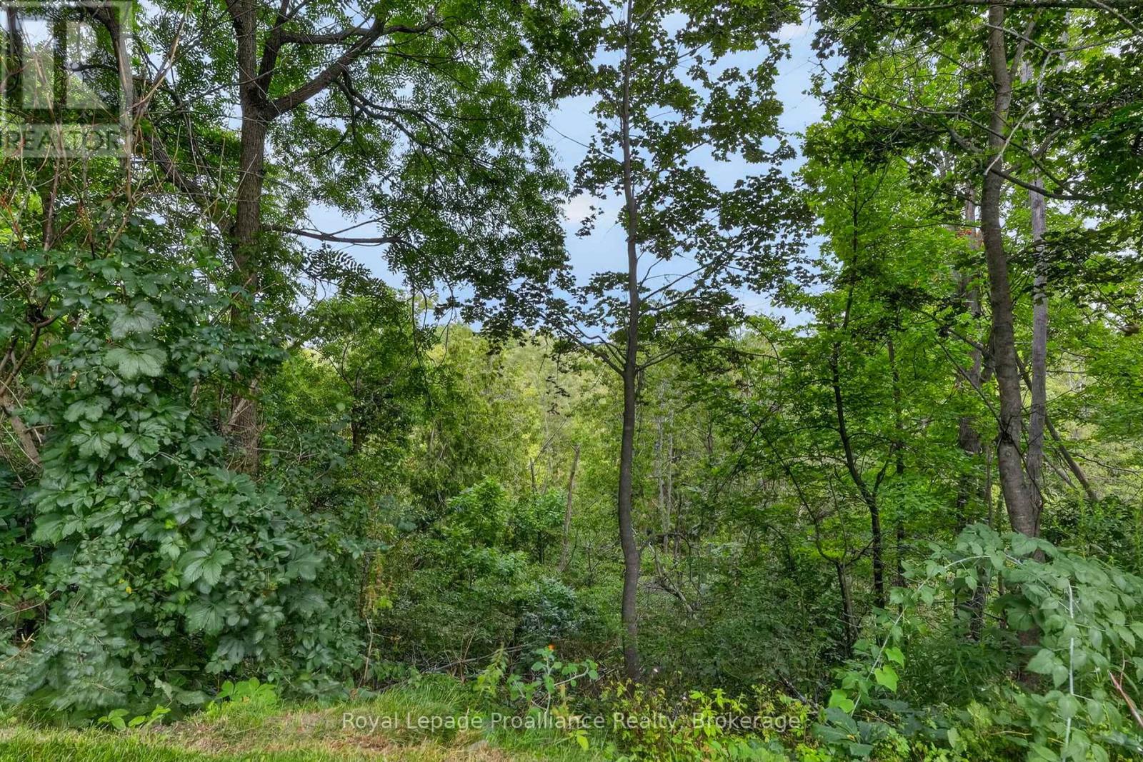 2991 HARWOOD ROAD - Image 37