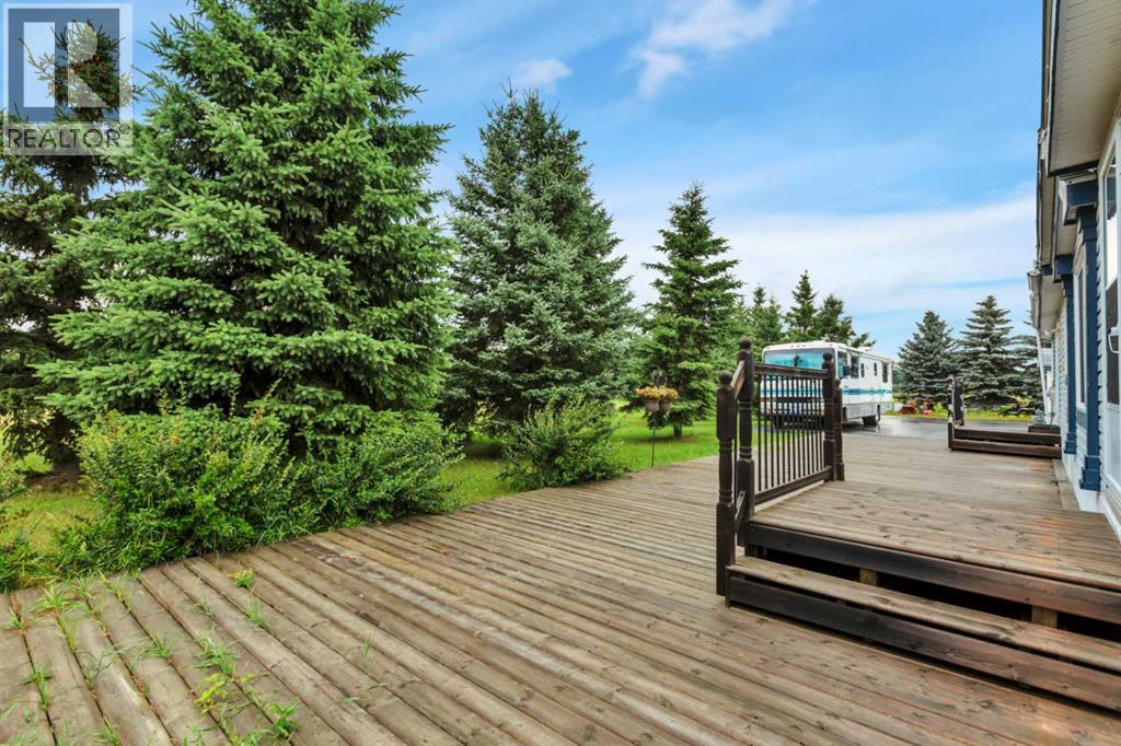 41113 Range Road 263 - Photo 10