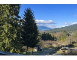 31081 Silverhill Avenue, Mission, BC V4S1G9 Photo 30