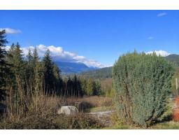 31081 Silverhill Avenue, Mission, BC V4S1G9 Photo 29